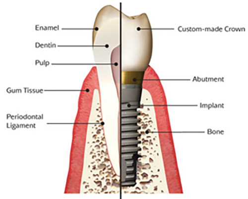 mediDental care | Extractions, Periodontal Treatment and Emergency Treatment